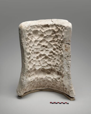 moule, fragment, image 2/2