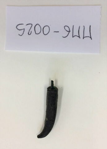 pseudo-momie, image 4/4