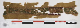 clavus ; fragment, image 1/2