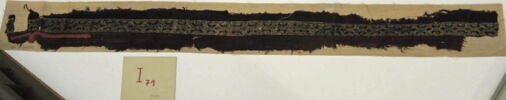 clavus, image 2/2