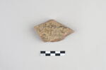 ostracon, image 1/2