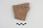 ostracon, image 1/2
