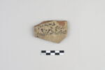 ostracon, image 1/3