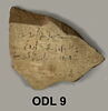 ostracon, image 1/3