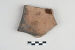 ostracon, image 2/3