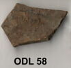 ostracon, image 3/3