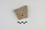 ostracon, image 1/3