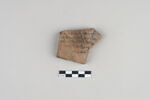 ostracon, image 1/3