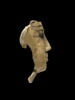 masque de momie, image 2/5