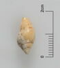 perles  ; coquillage, image 4/4