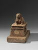 sarcophage d'animal ; élément momifié, image 2/8