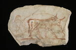 ostracon figuré, image 3/3