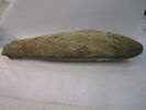 cercueil de poisson, image 1/2