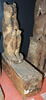 sarcophage d'animal, image 2/2