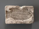 moule  ; figurine, image 1/2