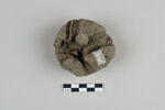 bouchon de jarre en calotte ; empreinte de sceau, image 5/5