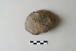 bouchon de jarre en calotte ; empreinte de sceau, image 2/3