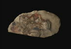ostracon figuré, image 3/4