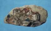 ostracon figuré, image 4/4