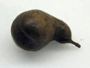 gousse d'acacia, image 1/2