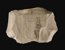 ostracon figuré, image 3/4