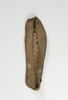 sandale droite, image 1/2