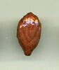 amulette ; dépôt de fondation, image 1/2