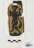 bande décorative d'habillement ; fragment, image 1/3