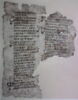 Codex GZ, image 2/3