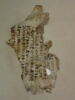 feuillet de codex ; deux fragments recollés, image 2/3