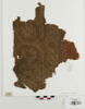 bande de poignet, image 1/2