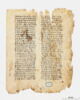 feuillet de codex, image 3/8