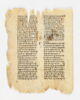 feuillet de codex, image 4/8