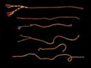 ceinture ; fragments, image 3/3