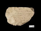 ostracon, image 1/2