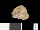 ostracon, image 4/4