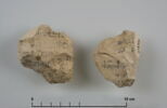 ostracon, image 3/4