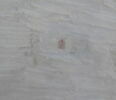 stèle cintrée, image 3/4