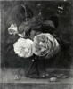Fleurs, image 3/3