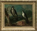 Deux faucons ; étude, image 3/3