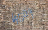 Tentation de saint Antoine, image 6/11