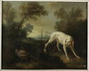 Blanche, chienne de la meute de Louis XV, image 1/3
