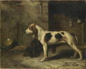 Chiens brifauts., image 1/3