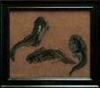 Triple étude d'un lézard vert, image 4/5