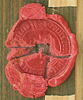 Portrait de femme (buste), image 3/3