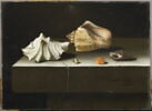 Cinq coquillages sur une tablette de pierre, 1696, image 1/2
