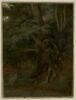 Nemi. Étude de troncs et racines, image 1/4