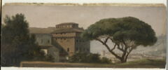 Vue du couvent de l'Ara Coeli: le pin parasol, image 1/3