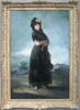 Portrait de Mariana Waldstein, 9e marquise de Santa Cruz ( 1763-1808), image 3/4