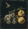 Nature morte aux huîtres et aux coings, image 1/5